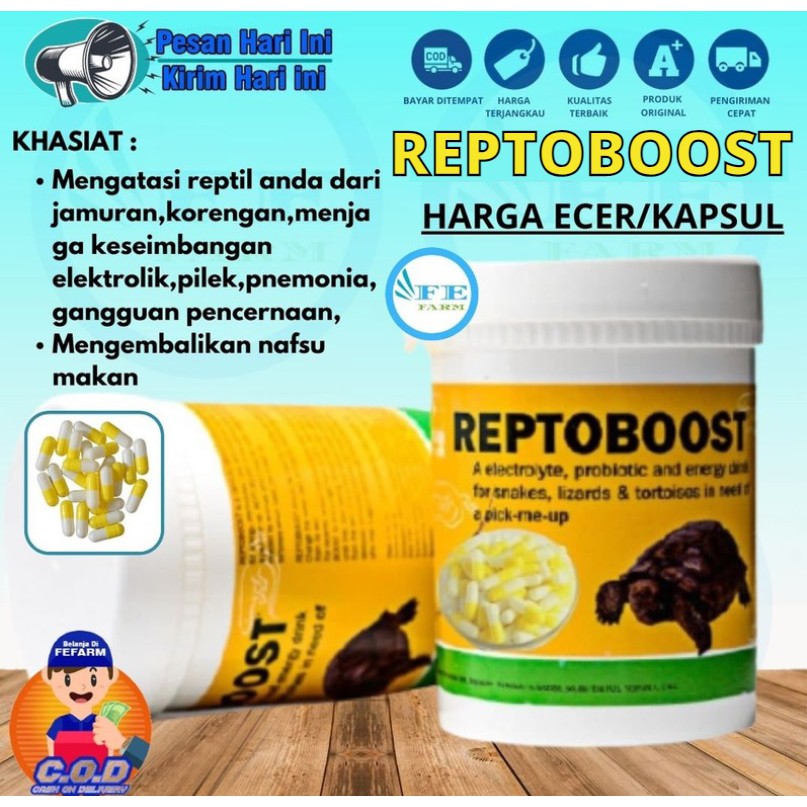 KAPSUL ECER OBAT REPTIL OBAT PILEK PNEMONIA PENAMBAH NAFSU MAKAN REPTOBOOST