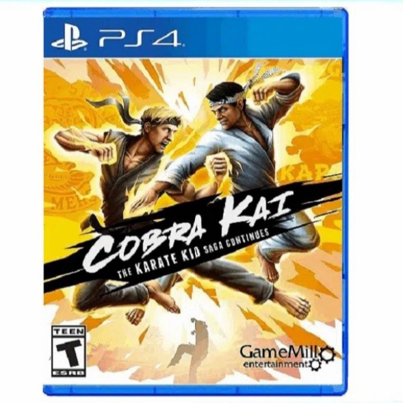 PS4 Cobra Kai The Karate Kid Saga Continues