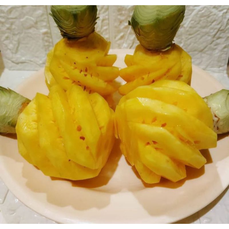 

BUAH NANAS MADU PALEMBANG MANIS PAKET 5PCS