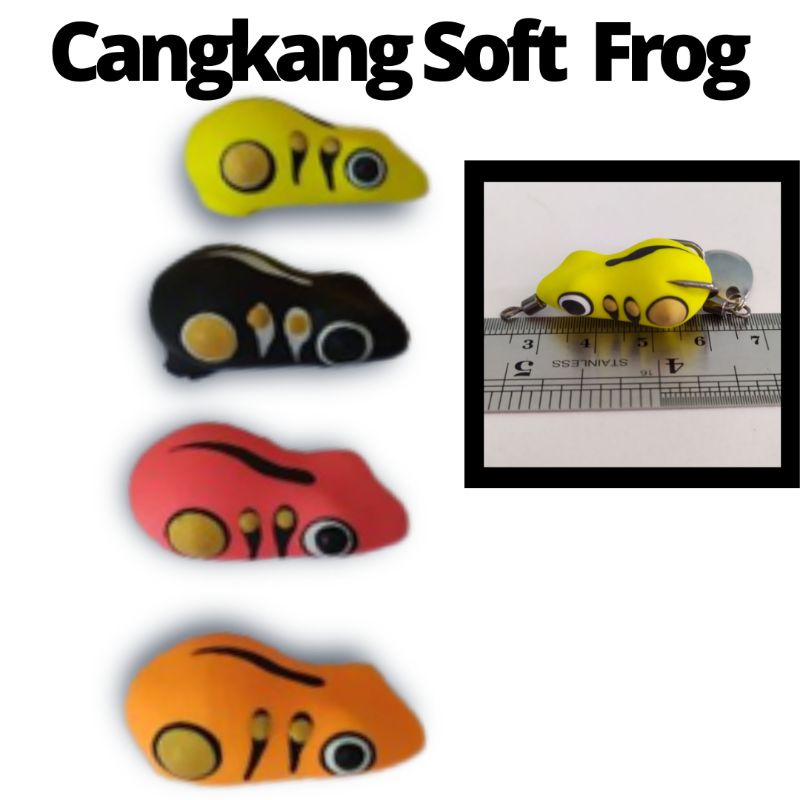 kulit soft frog/cangkang soft frog ukuran 3,5cm