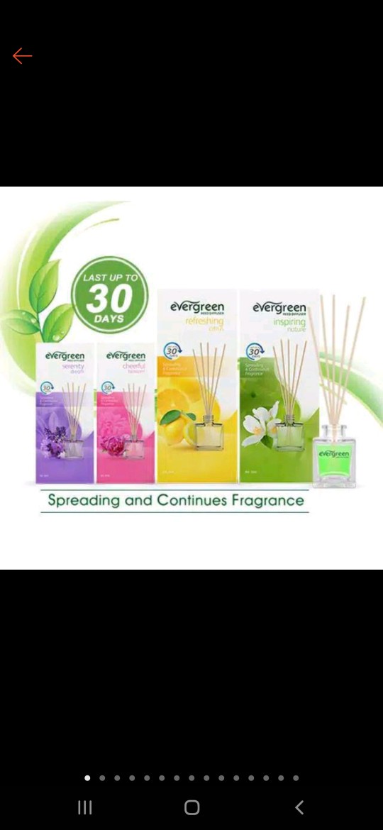 Evergreen / Reed Diffuser / 30ml / Set / Refill / Pengharum Ruangan / Aroma Bunga