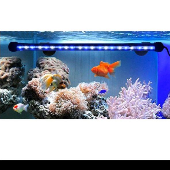 Lampu LED Celup Aquarium T4 20Cm, 30Cm, 40Cm Aquascape