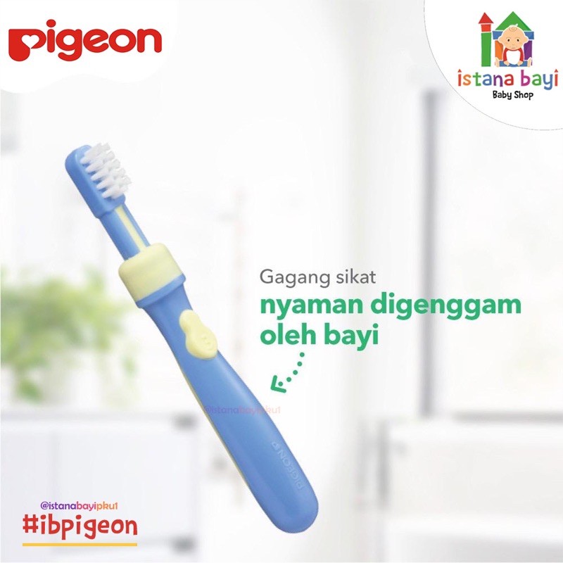 Pigeon Training Toothbrush Lesson - 3 - Sikat Gigi Bayi