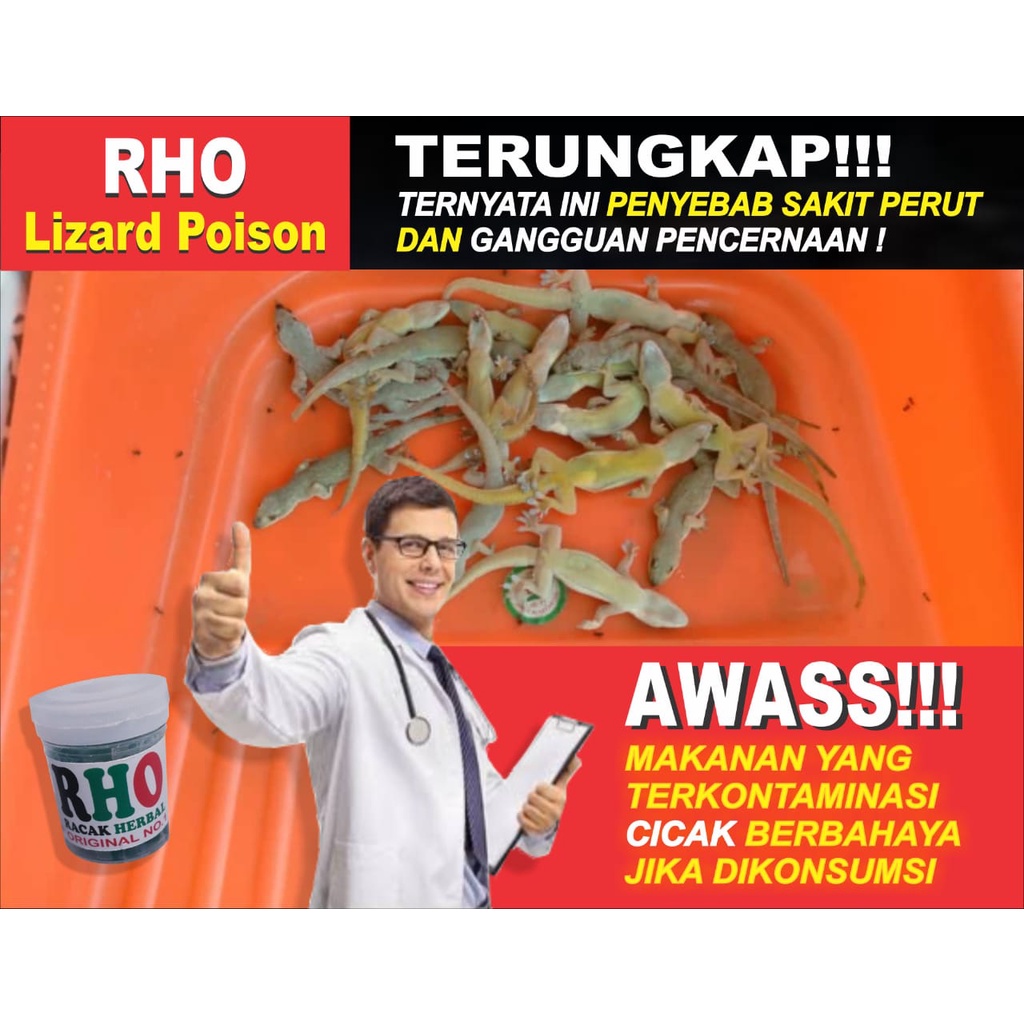 PEMBASMI CICAK TOKEK PALING AMPUH RACUN CICAK HERBAL ORIGINAL