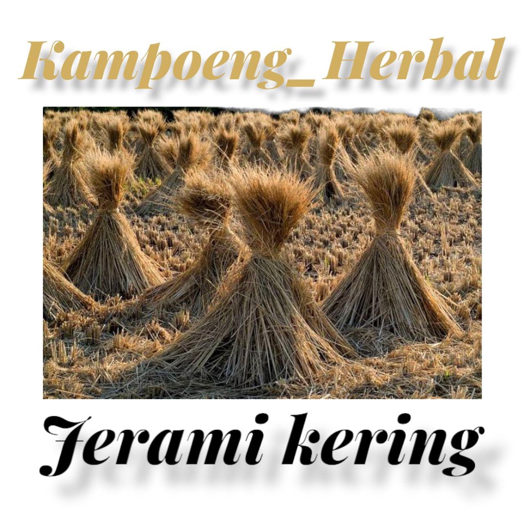 Jerami Kering 1 kg, Dami padi jerami kering