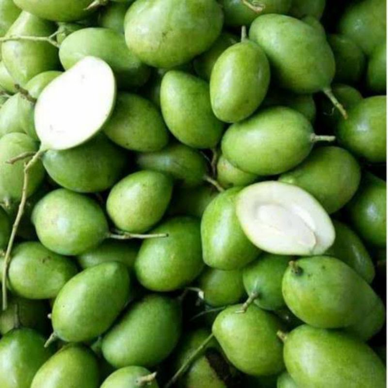 Mangga Muda Pelam Segar 500gr 1kg Pelem Asam Segar Mangga rujak