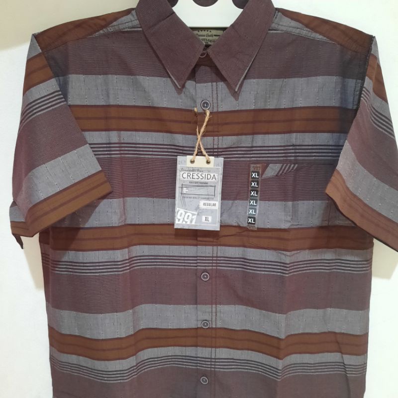 Kemeja Cressida Regular (Ukuran M-XL)