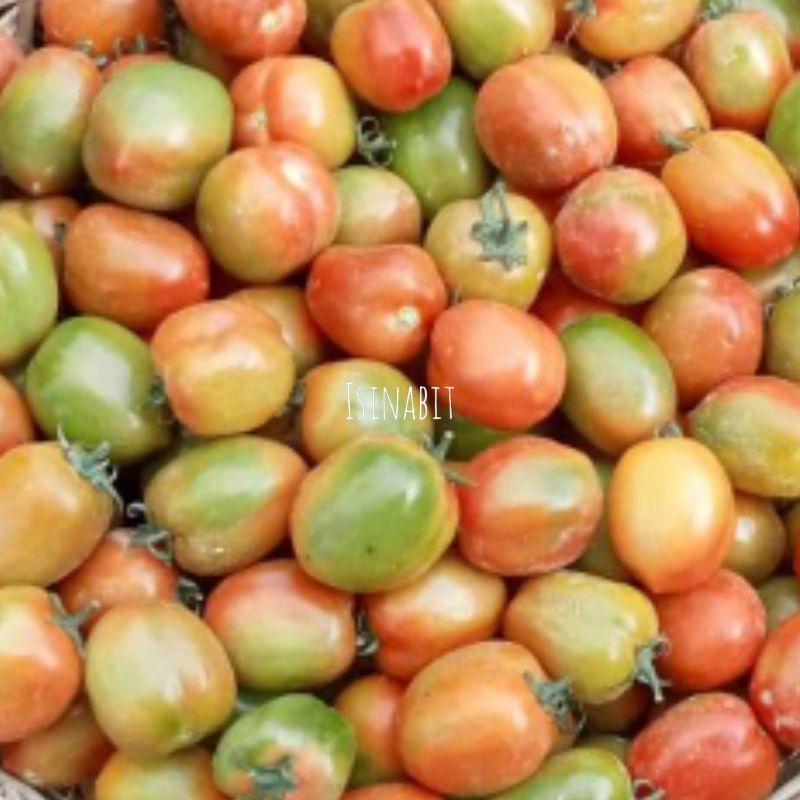 

Tomat Fresh 1Kg