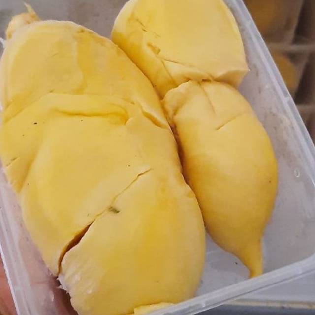 

DURIAN MONTHONG SUPER MANIS/DUREN MONTONG LEGIT