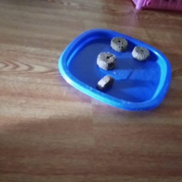 Natural Glio Pestisida Organik Jamut Akar Tanaman