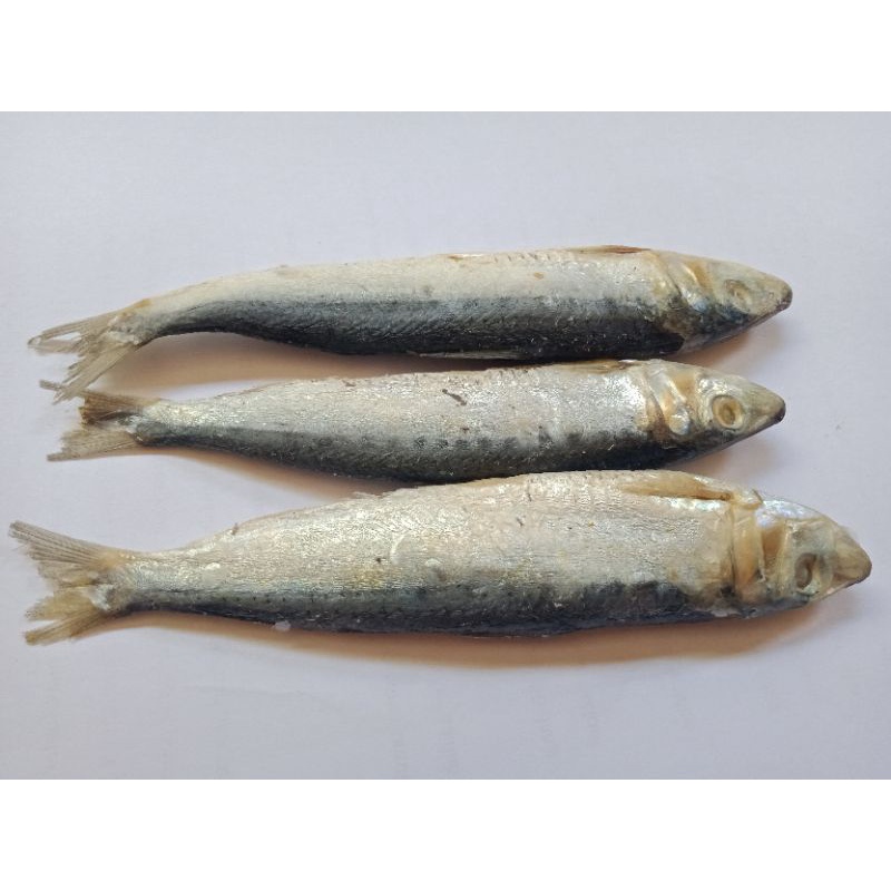 

Ikan Asin Japuh - Perbungkus