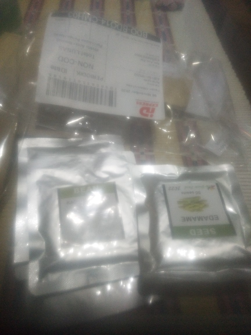 Benih Biji Sawi Putih Pack - 100 Biji - Gp