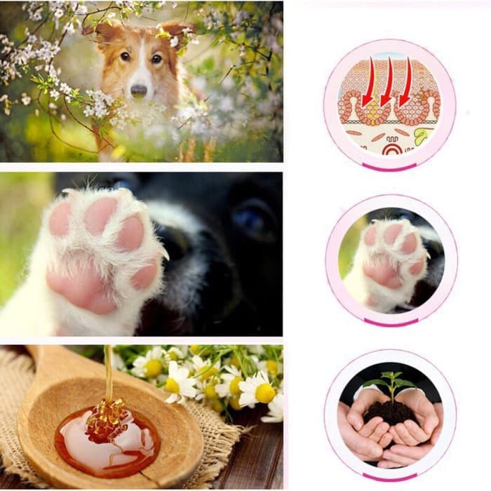 Paw Cream Nose Paw Care Cream Kucing Anjing Pet Care Cat Dog Krim Pelindung Telapak Kaki Hidung Anjing