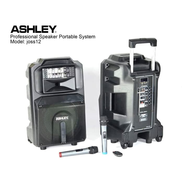 PORTABLE SOUND SYSTEM - PORTABLE MEETING AMPLIFIER - ASHLEY DISCO 12