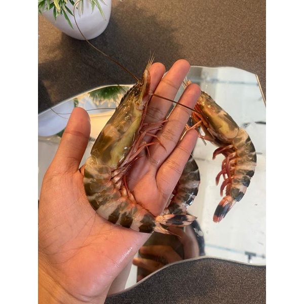 

Udang Ket Kulit/ Ang he Kulit Kemasan