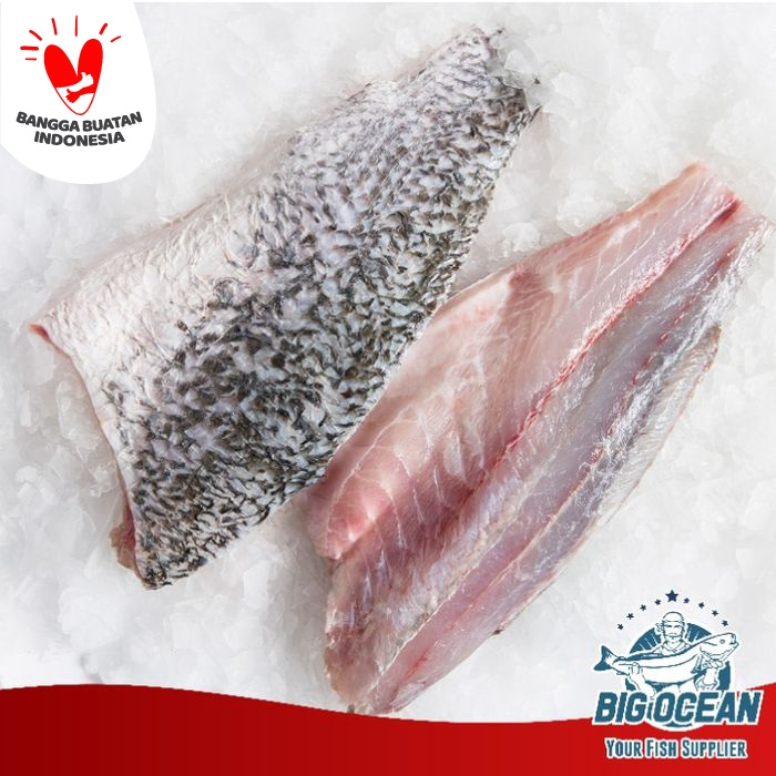 Fillet Kakap Putih / Baramundi @1kg