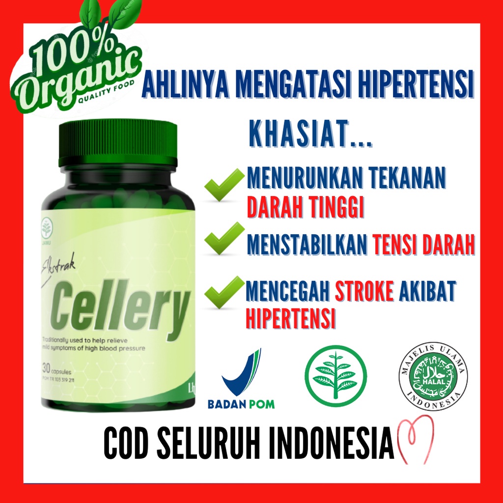 Ecellery Obat Darah Tinggi Hipertensi Ekstrak Cellery Kapsul Herbal Ampuh Terdaftar di BPOM