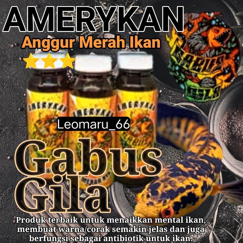 Amerykan GABUS GILA 250ml (progres chana)