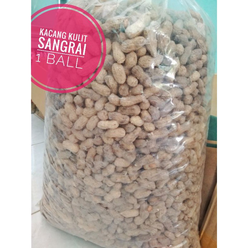 Kacang Kulit Sangrai 1 ball (5 Kg)