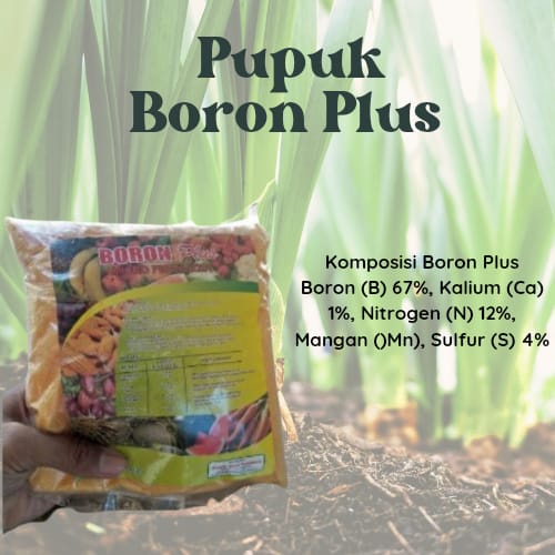 Pupuk Boron Plus Micro Fertilizer