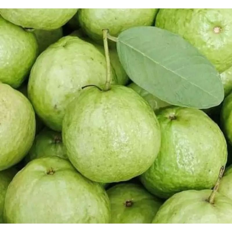 

Jambu Kristal/manis/1000gram