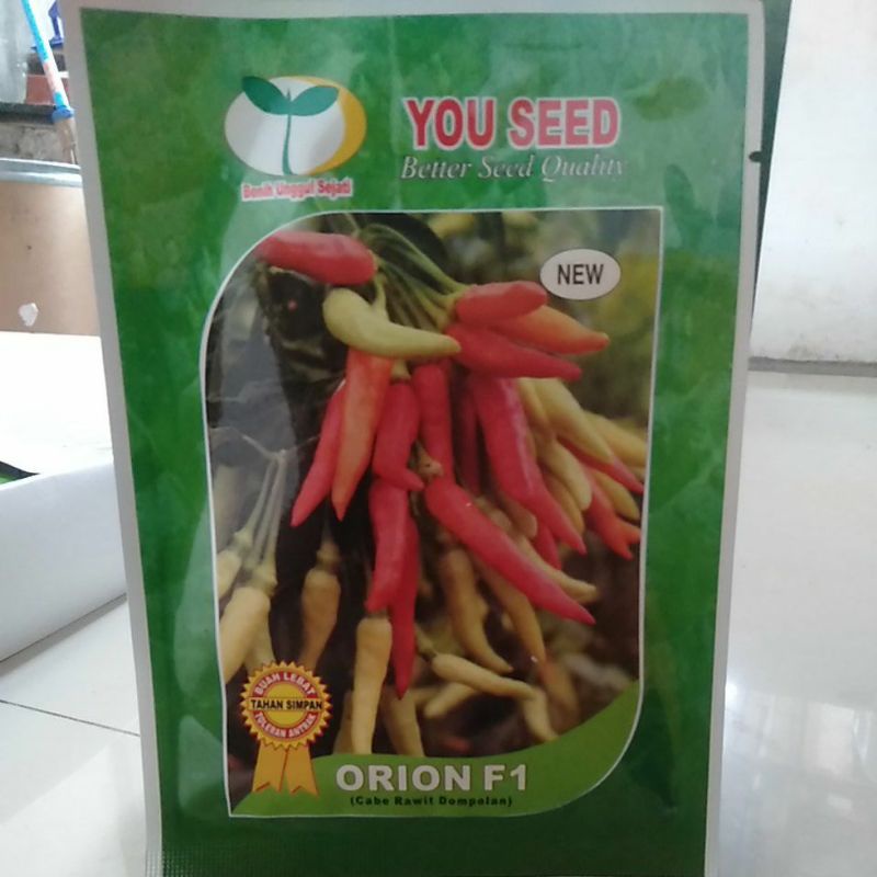 benih cabe rawit orion f1