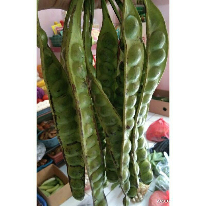 

Pete/petai lalap per papan ukuran besar