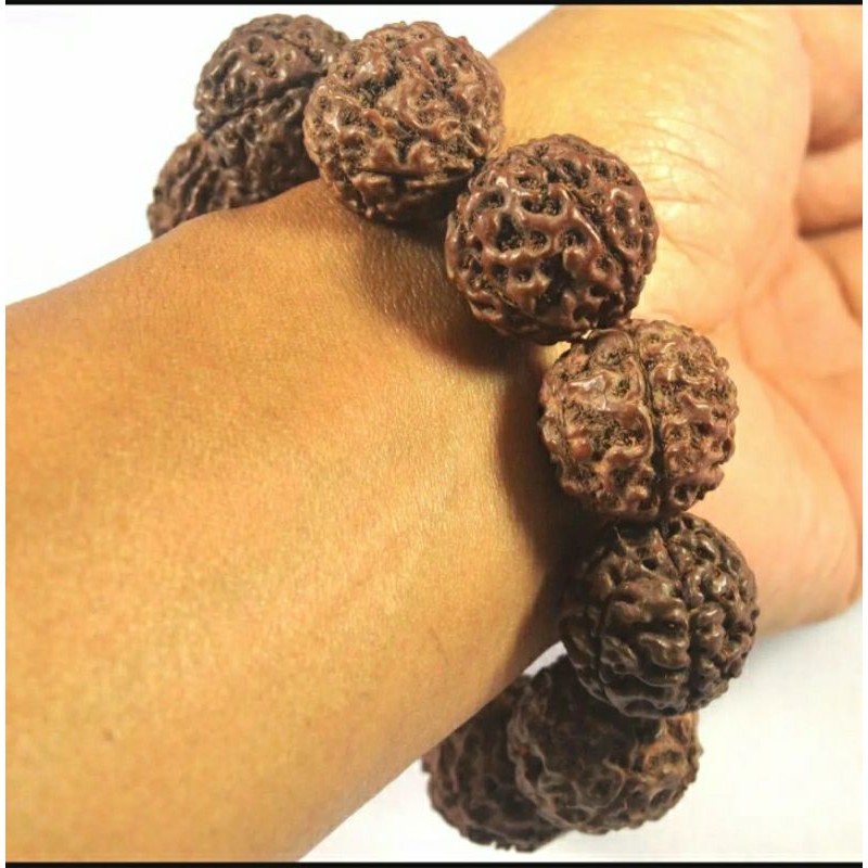 gelang jenitri besar