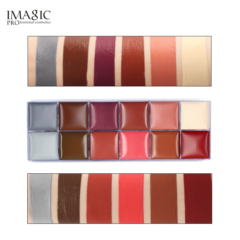 (READY &amp; ORI) IMAGIC 12 Color Flash Body Palette BD501 BD 501