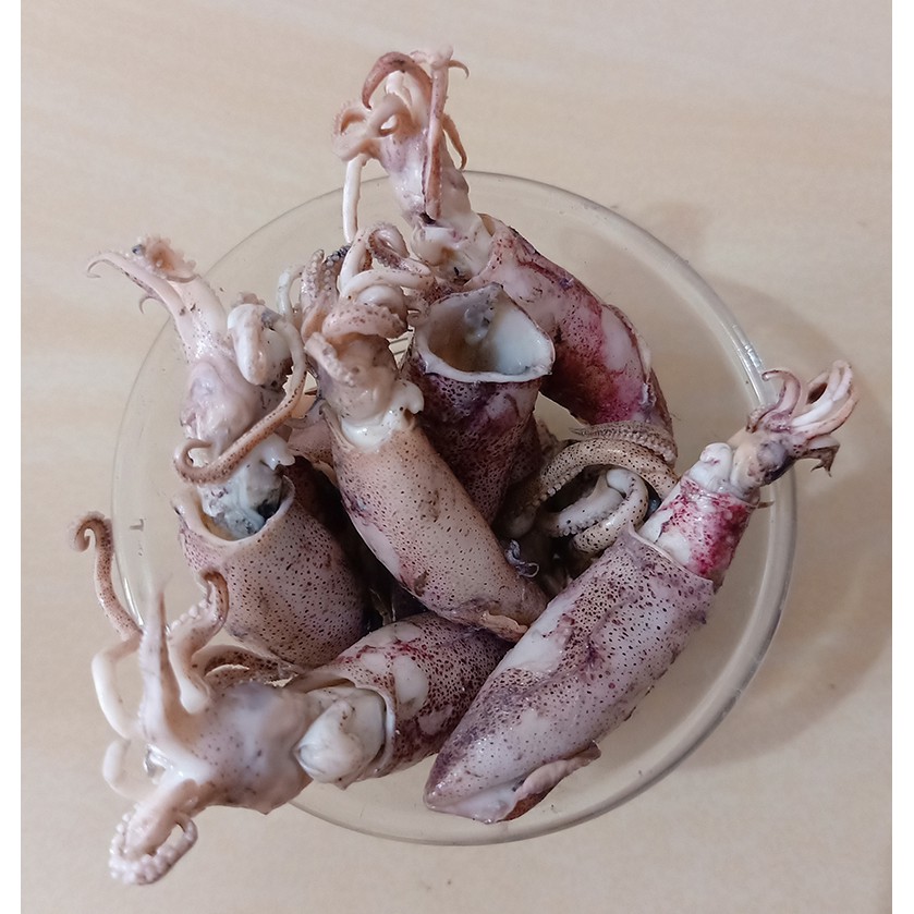 

Cumi Asin - 100 gram