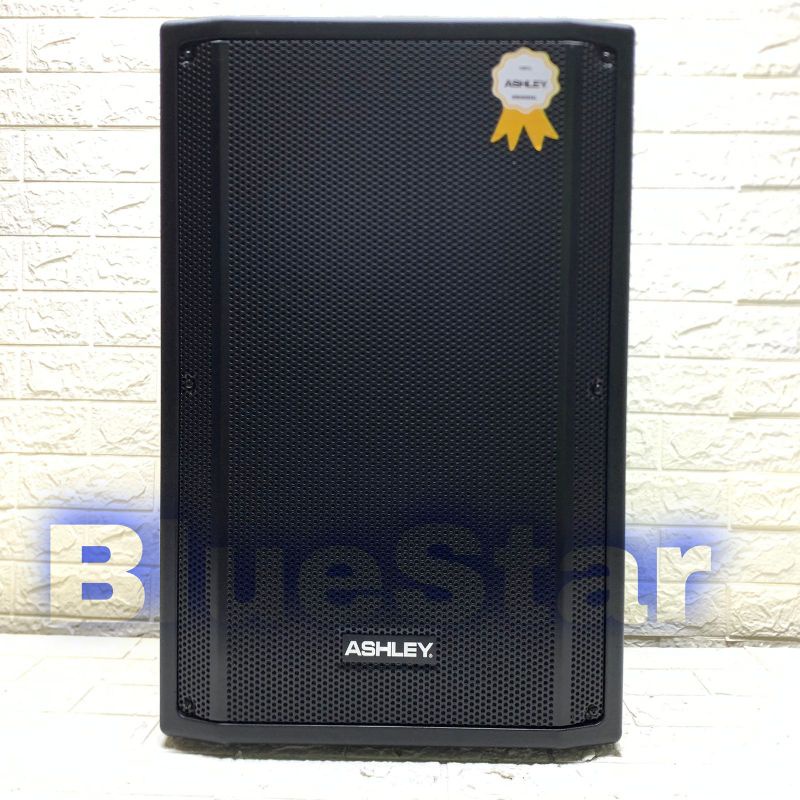 Speaker Passive Ashley YM 400P Original 15 inch Ashley YM 400 P