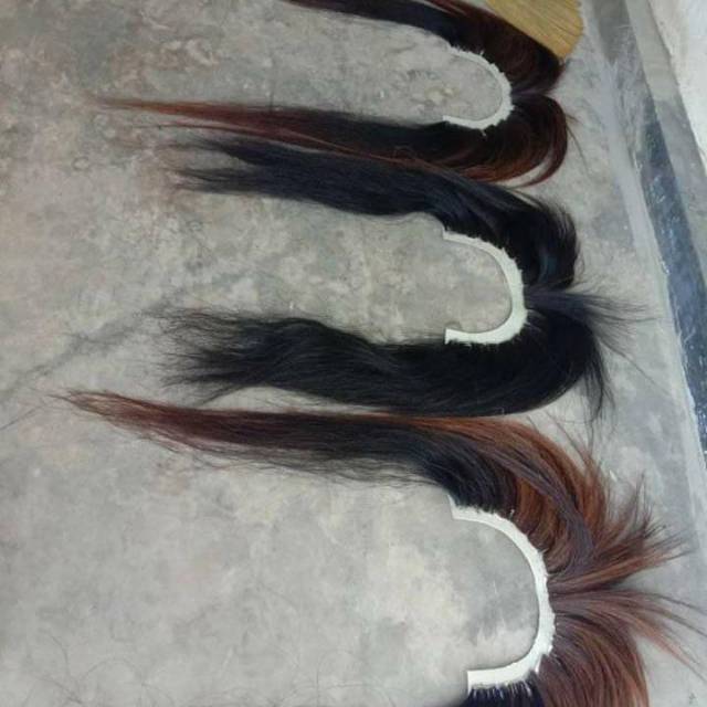 Rambut barong full kuda