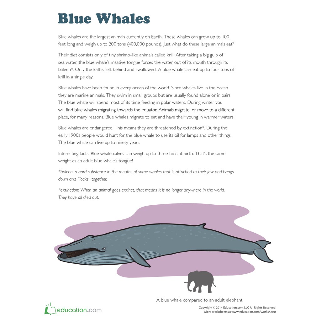 Racing Extinction Worksheet - Suse Racing