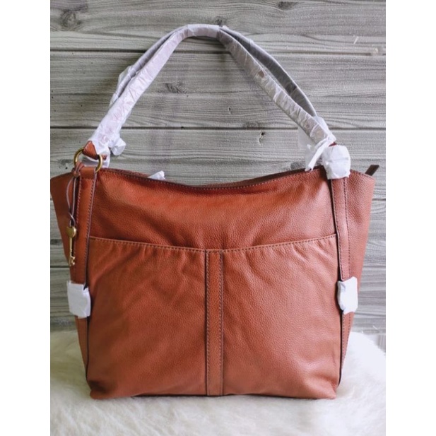 TasFossilSamToteBrown