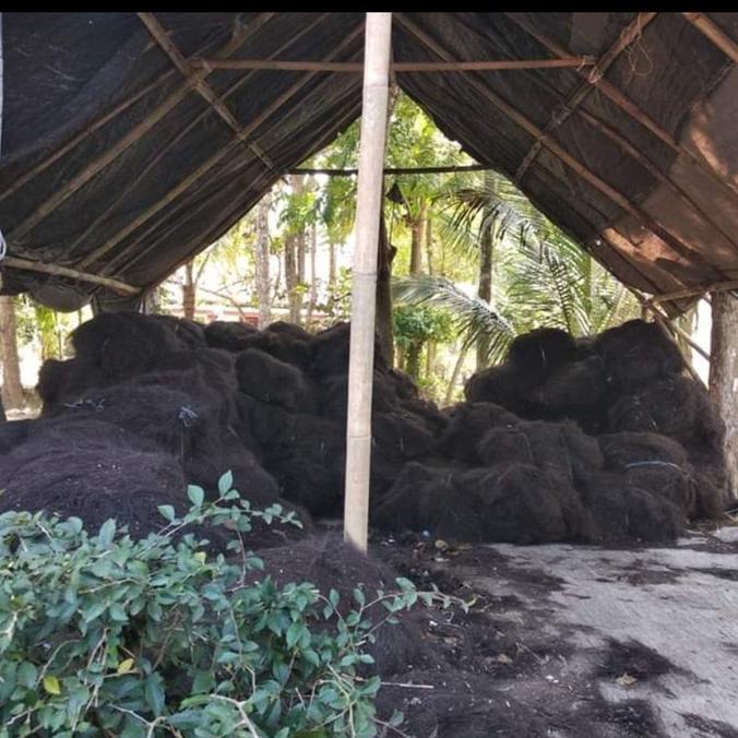 IJUK AREN SERABUT COCOFIBER MEDIA TANAM KILOAN SUGIASIH24