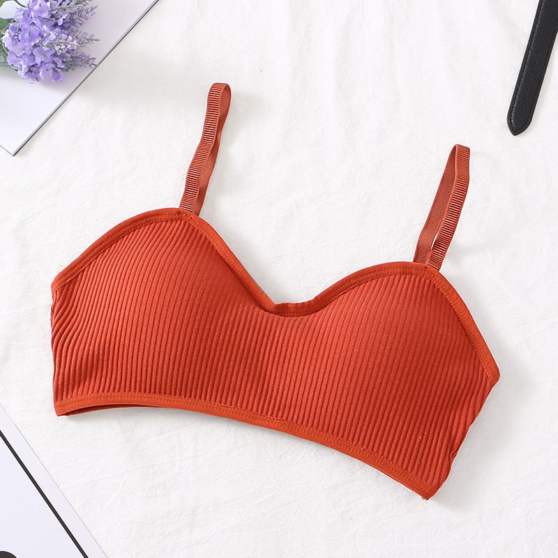 Chipchip Pakaian Dalam Wanita Bra Tanpa Kawat Bh Busa Import Seamless Gaya Korea - 3003-orange