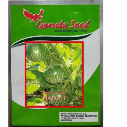 Benih Bibit Terong Hijau Bulat DADALI Biji Terong Lalap / bibit terong lalap / terong lalap