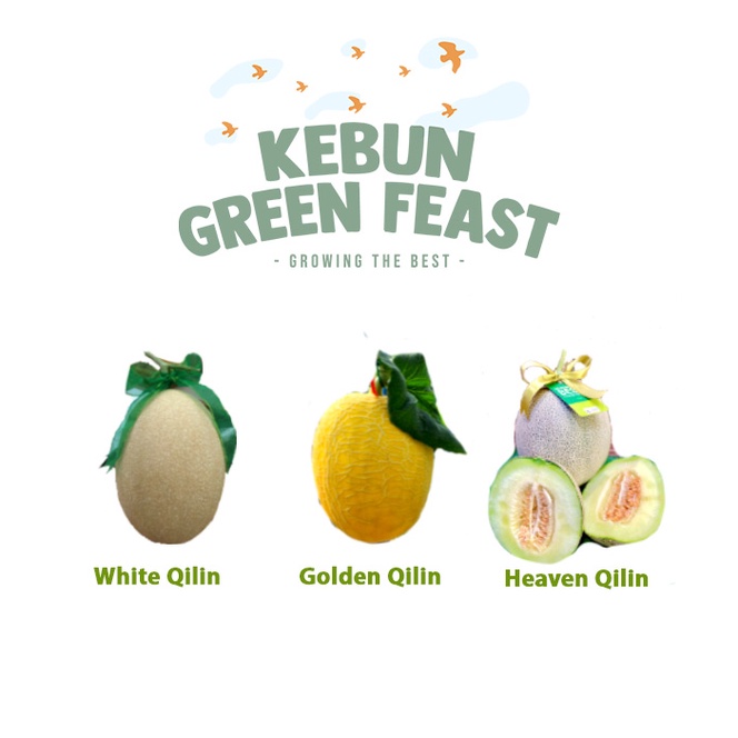 

Premium Melon Qilin Hydroponic - Produced By Kebun Greenfeast - Buah Melon Fresh