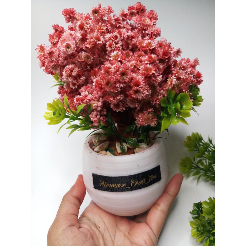 BUNGA KERING + pot MINI POLOS plastik (1 SET) + BUNGA KERING AESTHETIC Bunga abadii