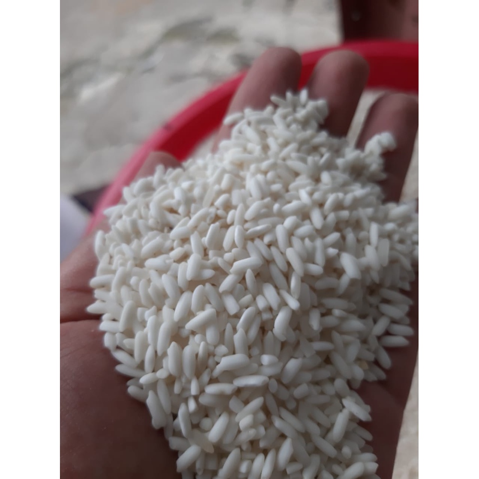 

KETAN PUTIH SUPER FREE ONGKIR