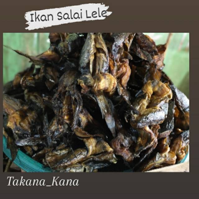 Ikan Asap Lele Ikan Salai Lele Masakan Padang Oleh Oleh Padang Bukittinggi Shopee Indonesia