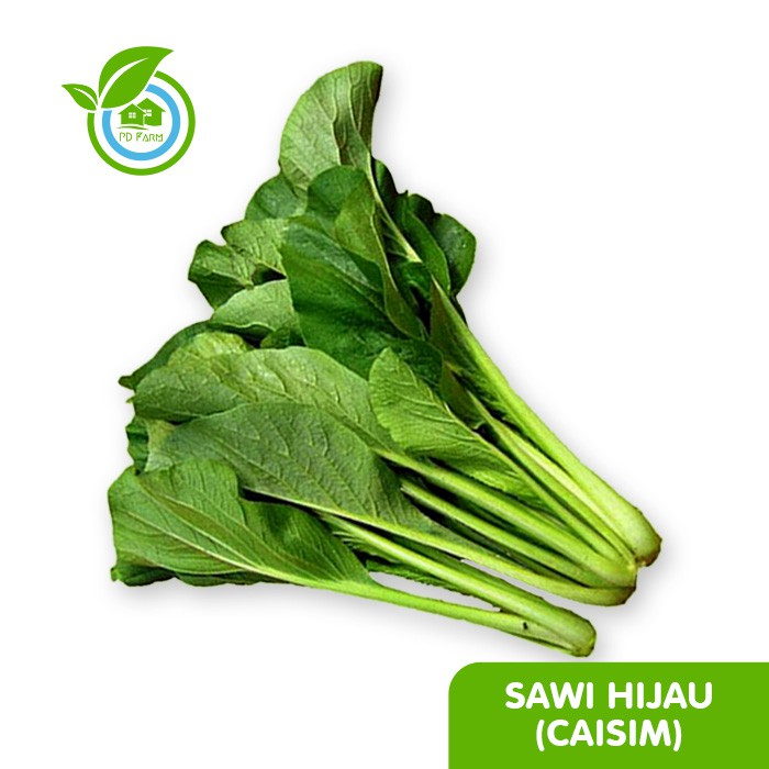 

Sawi Hijau / Caisim (250gram) per ikat