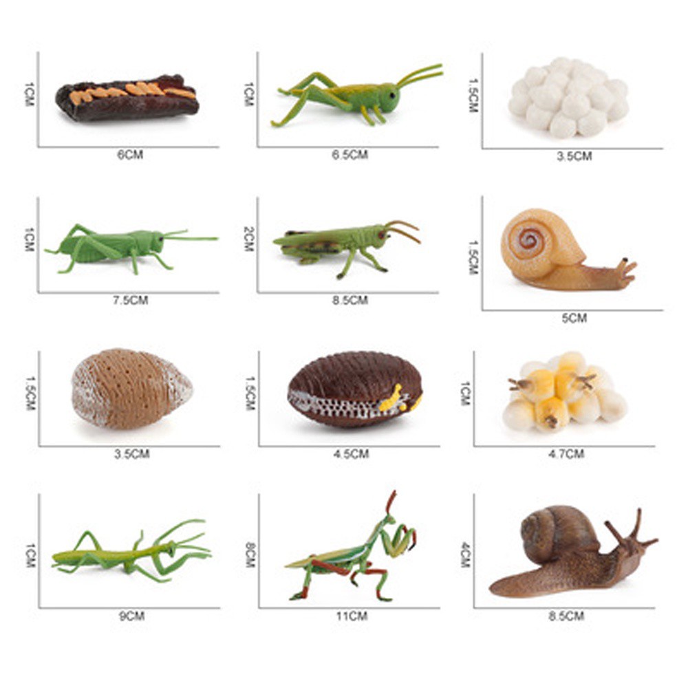 Lanfy Mainan Miniatur Siput Untuk Edukasi Dini Anak