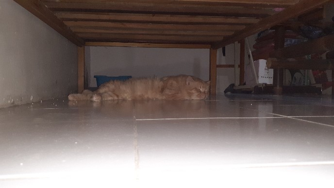 Sendok Teh Karakter Anak Hello Kitty Doraemon Murah Pajangan Hiasan Gelas Kopi Stainles Bayi Bekal