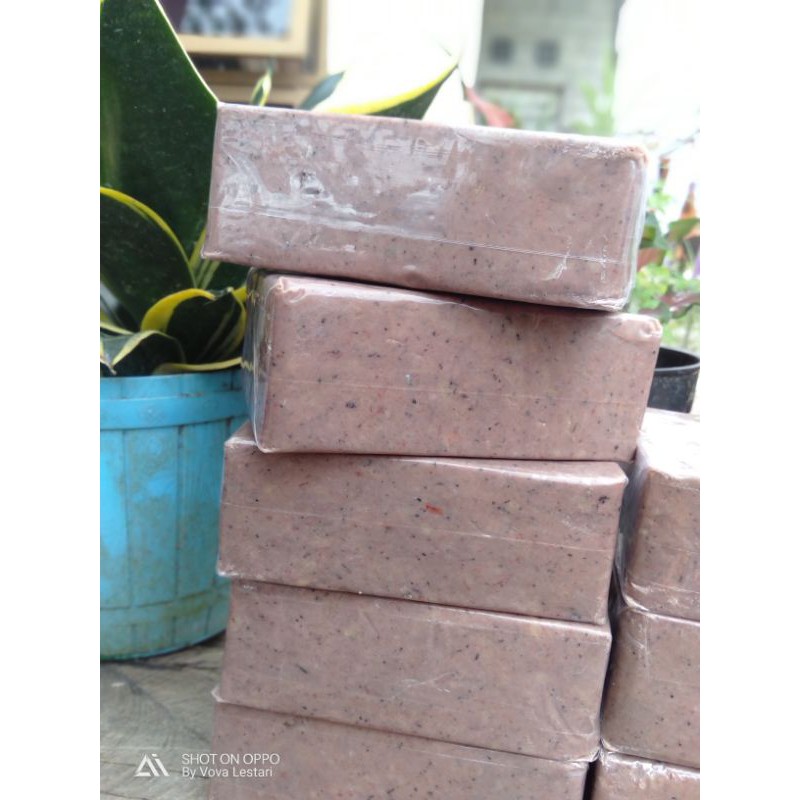 

terasi bangka asli udang