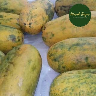 

Buah Pepaya Manis Segar Bandung 1 kg lebih