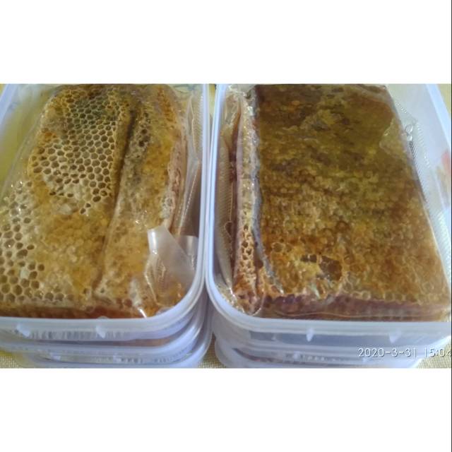 

Madu sarang melifera