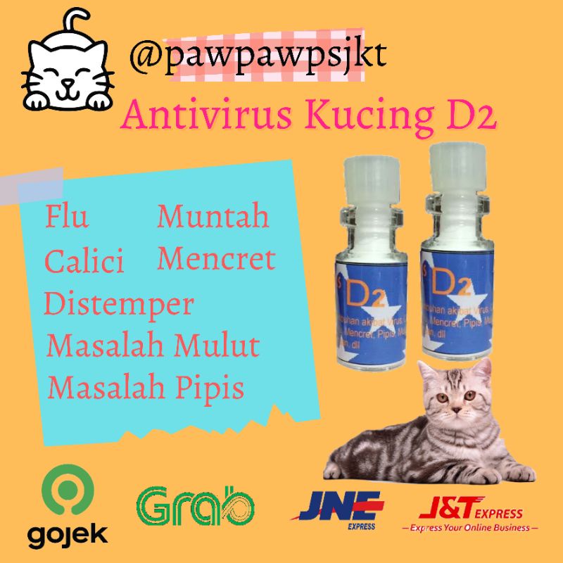 Jual Obat kucing vitamin D2 virus panleu distemper flu muntah ampuh