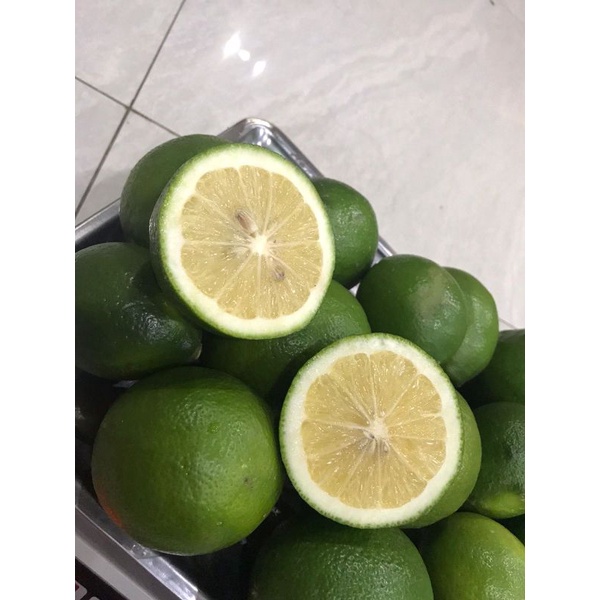 

jeruk lemon 5kg