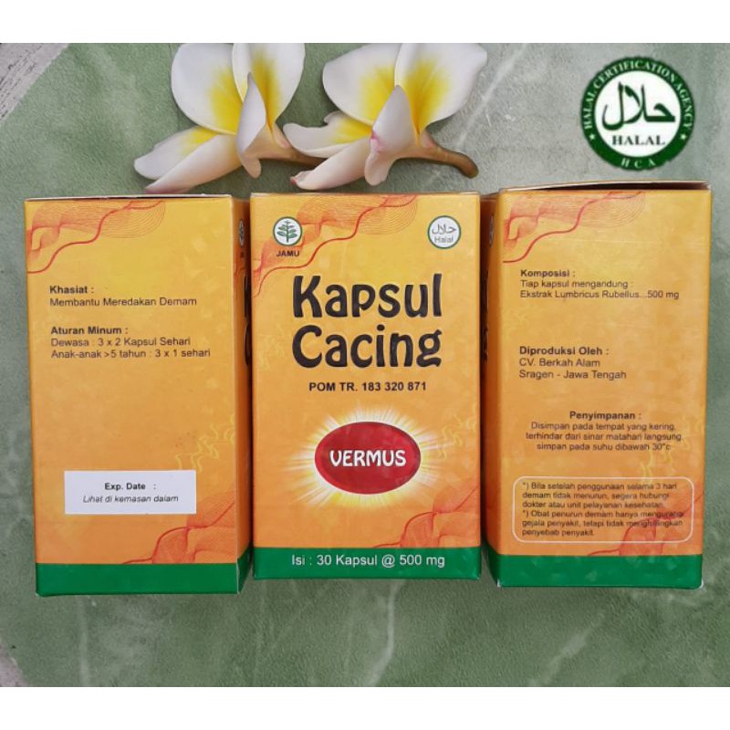 VERMUS Kapsul Cacing 30 Kapsul 500mg - Obat Typus Demam Pegal Pegal - Vermint